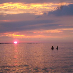 Summer Rain - Jim Perkins