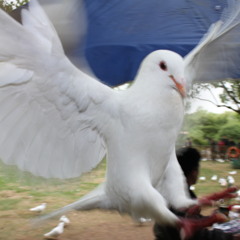 DJ Smash feat Fast Food - Volna (DJ Antoine vs. Yoko Remix)