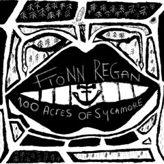 Fionn Regan - Dogwood Blossom