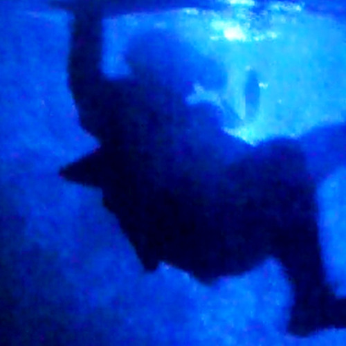 Shadows