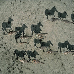 Here it is (Honestly) - moonladder