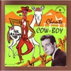 LOU REIZNER - Home On The Range