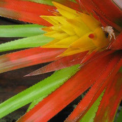 Bronk O. - Got to Relax Your Mind