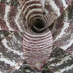 Bronk O. - You Hate me For the Wrong Reason