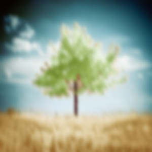 artworks-000010098970-a1ws7q-crop.jpg