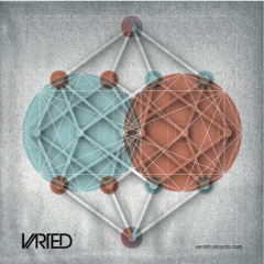 Varied Records 004 :: Ordinary Subject :: Fourth Dimension EP