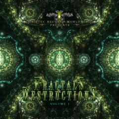 Synthetic Forest - Twinkling Tears