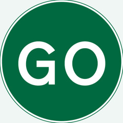 Smitech Wesson - Go
