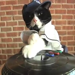 LaydeeDee Bass Affirmation 06.08.11