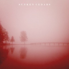 More Than This (Roxy Music cover)