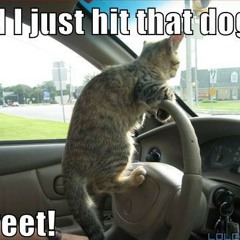 Majistrate- Car Jackin( Dj Scratchy VIP)