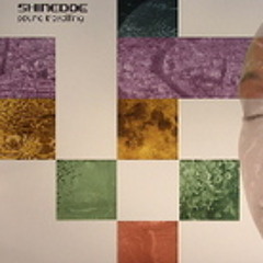 Shinedoe - Dillema Sound Travelling Album 2006