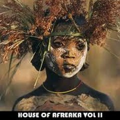HOUSE OF AFREAKA VOL II- DJ umB - LEO GRINI