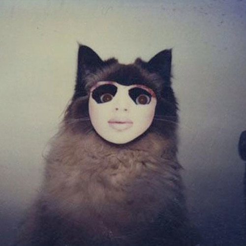 Wicked Game (Chris Isaak cover) | PIPILOTTI RIST