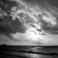 To The Sea - Shouting At Planes