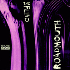 "Fools Rule" - The Fluid (vinyl)