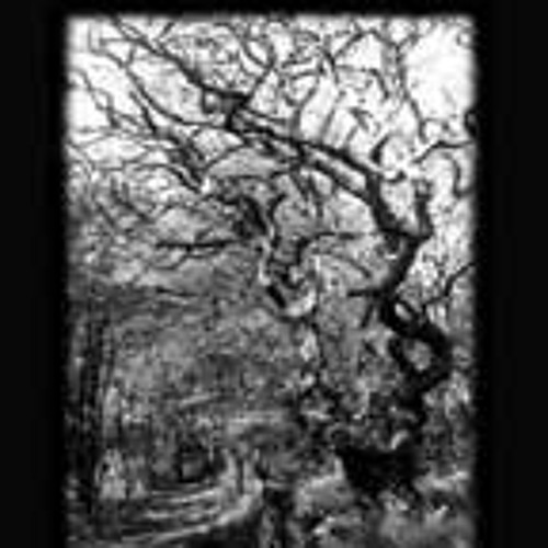 Instincts - Arise - Excerpt