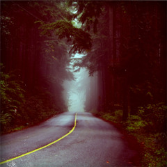 Tawd - Highway 1