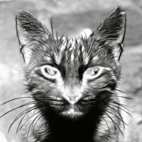 CATX