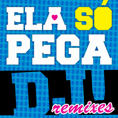 04 Ela só pega DJ (Cleber Mix)