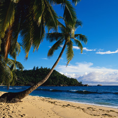 Lannen ale lannen vini