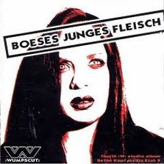 Wumpscut - Totmacher (SiLNDR remix by DJ Areal Kollen)