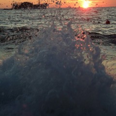 Havin' it with the Harrington