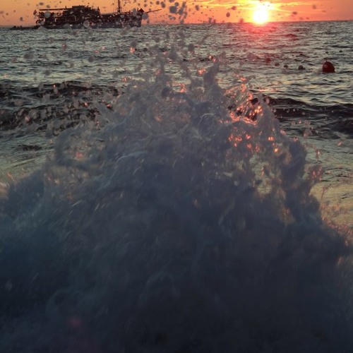 Havin' it with the Harrington