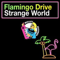 Flamingo Drive Feat. Kristine - Strange World (FM Attack Remix)