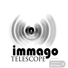 IMMAGO - White Flag