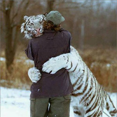 Fear of Tigers - The Adventures of Pippi Longstrump (Digitalfoxglove's Fearless Remix)