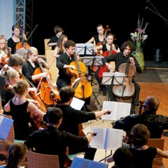 Edvard Grieg - Holberg Suite Part 1 / 24 cellists