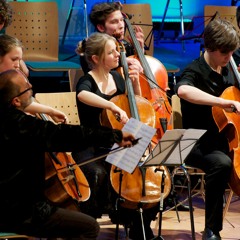 Edvard Grieg - Holberg Suite Part 2 / 24 cellists