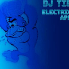 Lil Wayne Vs The Bravery