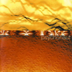 Psychonaut - Brainshaker