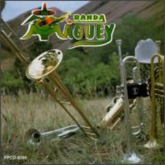 Banda Maguey-Quebradita Mix