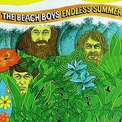 "Don't Worry Baby" - The Beach Boys (vinyl)