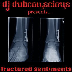 "Fractured Sentiments" - Shambhala 2011 Promo Mix