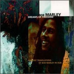 The heathen Bob Marley rmx