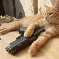 "Los Gatos" Produced By D.J MasterBoy (Instrumental)