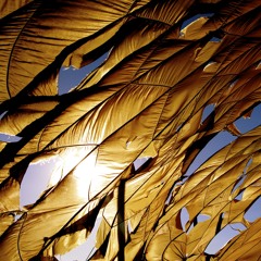 Burning Man Mix - August 2011 - Ollie Mundy