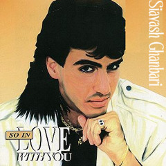 D. - So In Love With You (Siavash Ghanbari Phunk Me Edit)