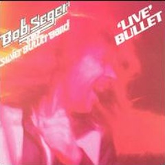 "I've Been Working"  - Bob Seger & the Silver Bullet Band (vinyl)