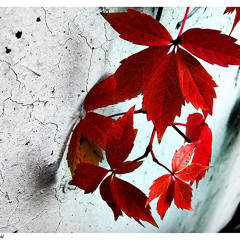 Tomek N - October (Airwalker Remix)