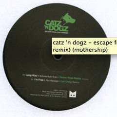 Catz 'n Dogz - I'm Free feat. Paul Randolph (Carl Craig remix edit)