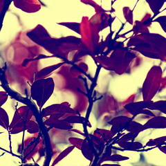 SleepLab Ft. Antoinette Moreau - In Your Orbit (Cherry Drops At 3:33 Almost All The Time...)