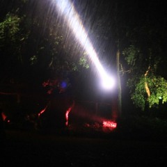 Wolf.Gang  Kling&Klang Festival