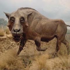 Pigs of Exile - Bird of Prey