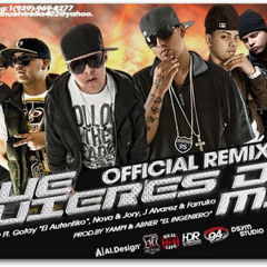 Que Quieres De Mi (Official Remix)