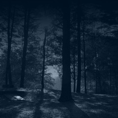 Aftert!!! dark